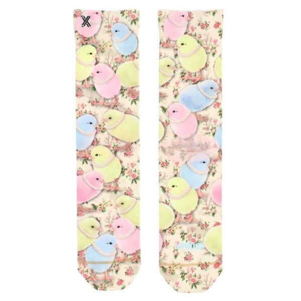 Socken mit bunten Küken